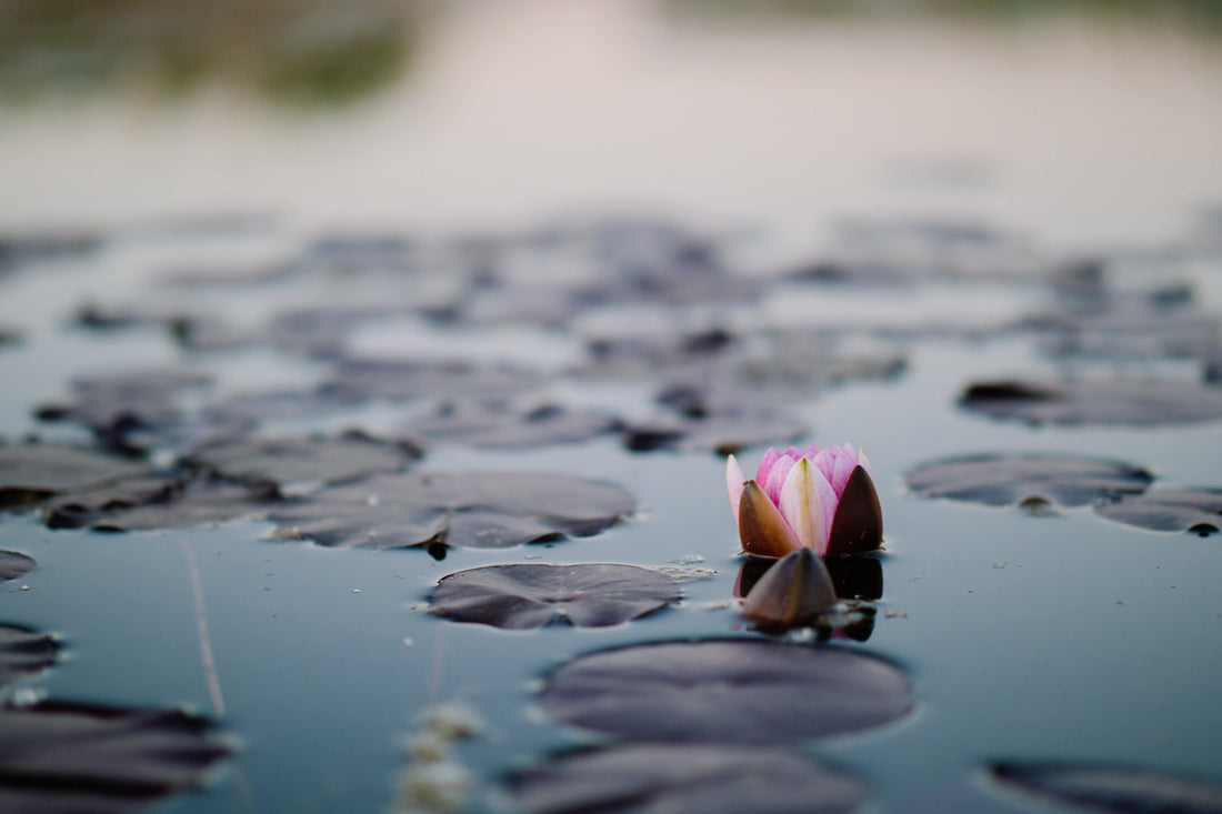 The Power of Mindful Thinking - astrOGvibes